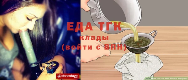 индика Алексин