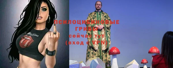 дживик Абаза