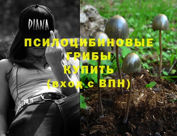 индика Алексин