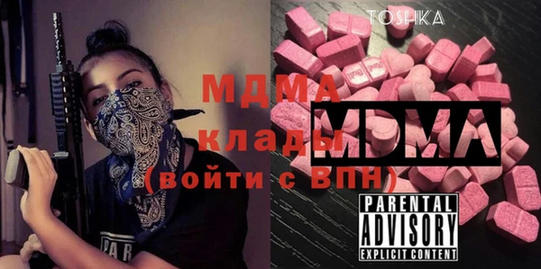 индика Алексин