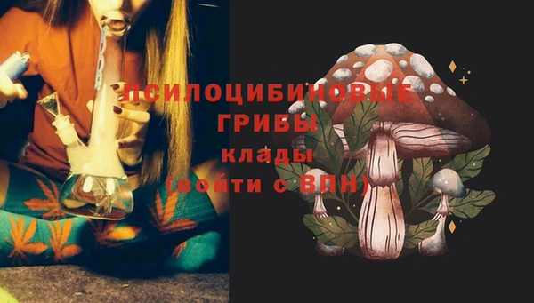 скорость Алзамай